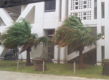 台風