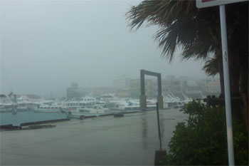 台風 写真