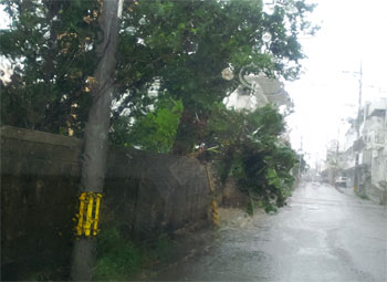 台風の爪痕