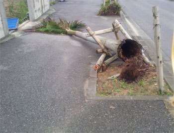 台風の写真