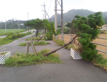 台風の爪痕