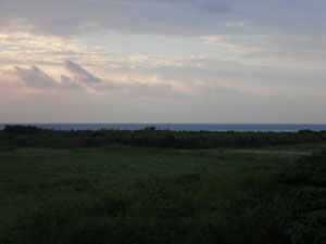 CIMG0335.jpg