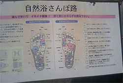 fukusisenta2.jpg