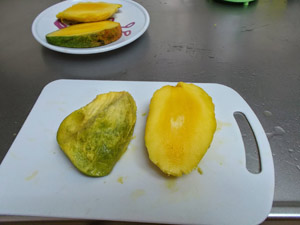 mangojyamu1.jpg