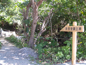 omoto4.jpg