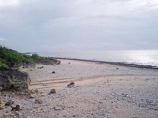 tadahama.jpg