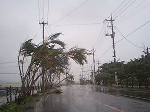 taifu2.jpg